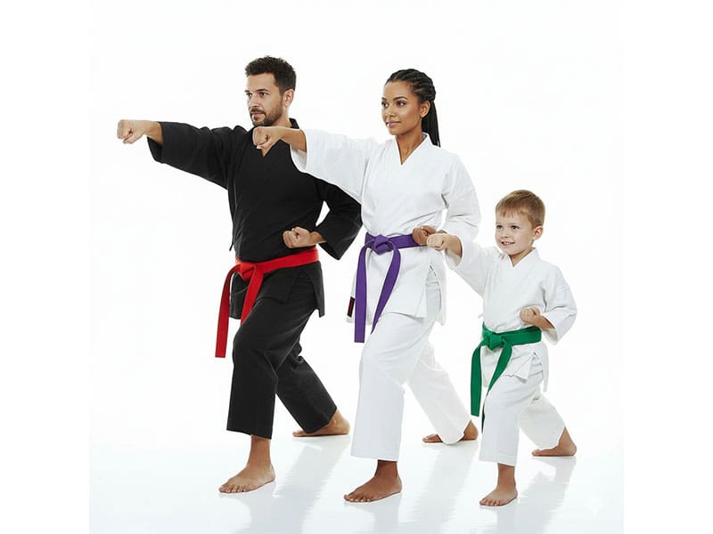 Family Martial Arts Classes
